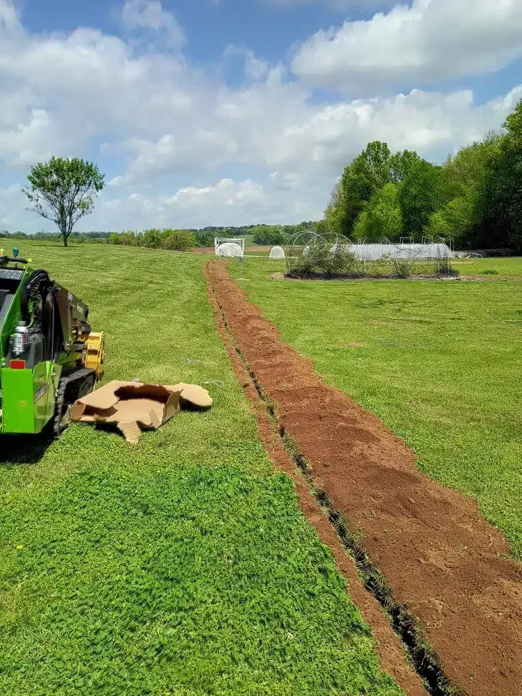 dig job in big lawn